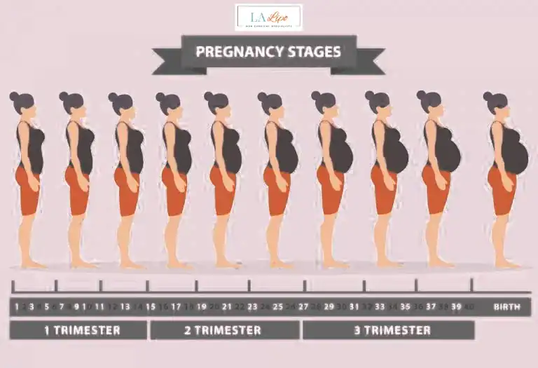First Trimester (Weeks 1–12): Early Changes You Might Not Notice Leytonstone